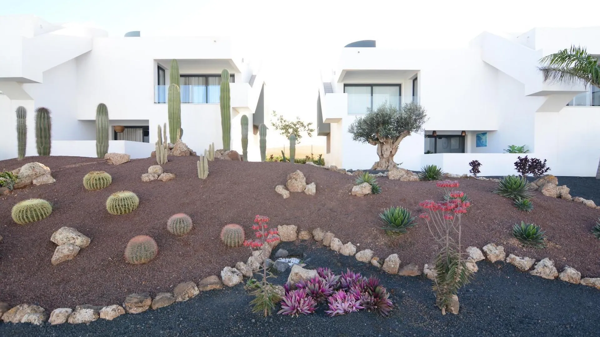 Luxury Apartment In Casilla De Costa - Casa Meva Lajares